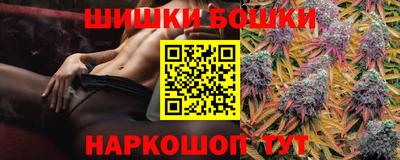 мдпв Партизанск