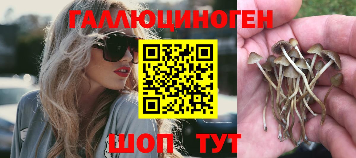 Галлюциногенные грибы Cubensis  Вход с VPN  Усть-Илимск 