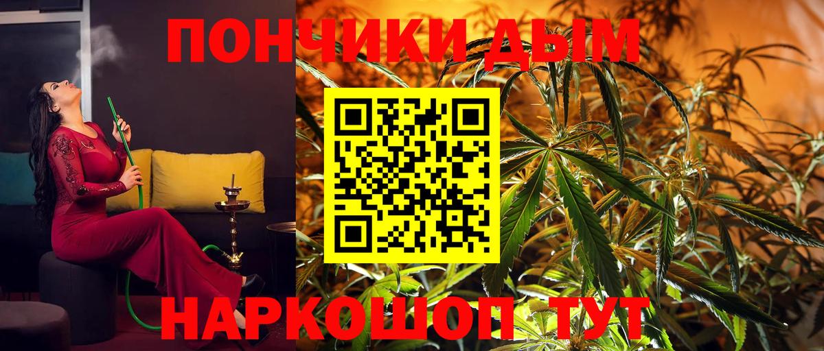 Конопля план  Бошки Шишки MAZAR  Усть-Илимск  Вход с VPN 
